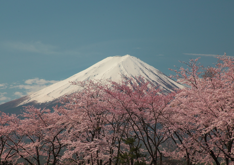 富士山画像作品