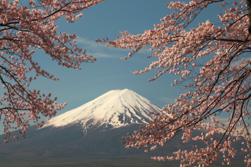 富士山画像記録