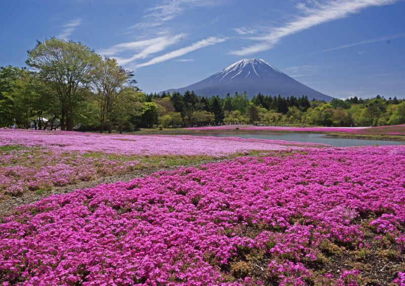 富士山画像作品