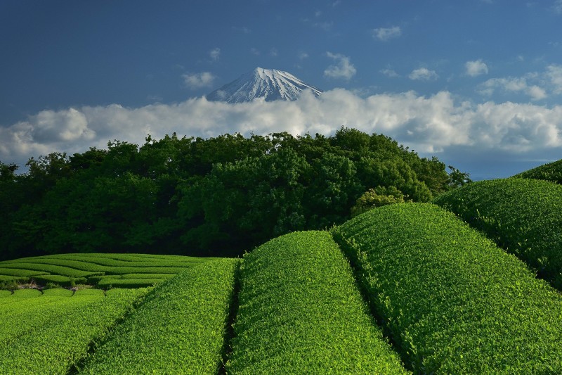 富士山画像作品