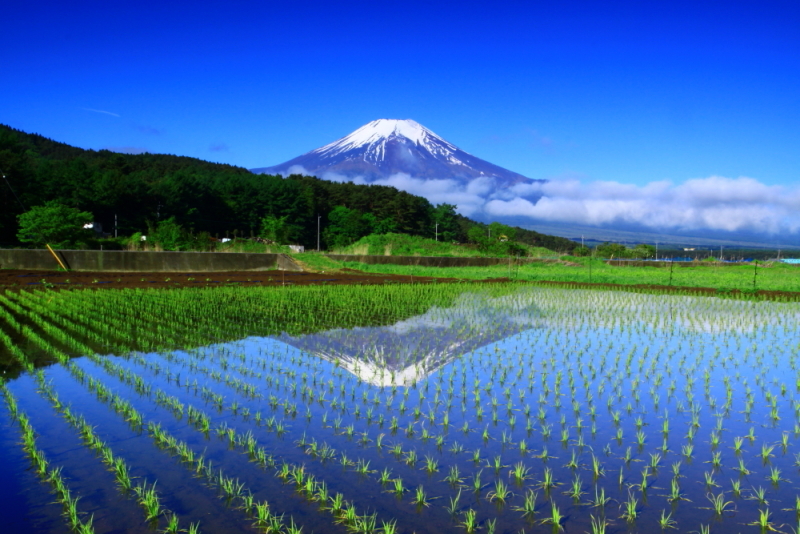 富士山画像記録