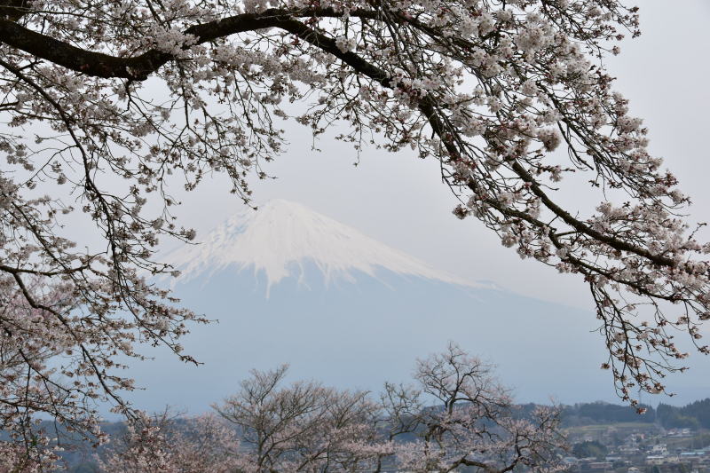 富士山画像作品