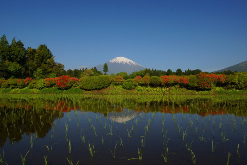 富士山画像記録