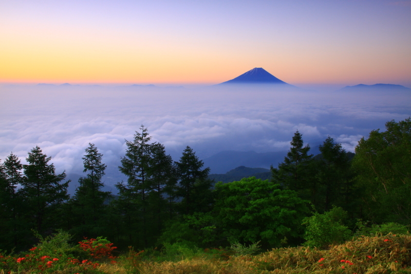 富士山画像記録