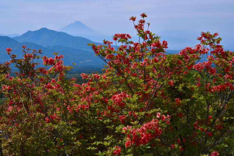 富士山画像作品