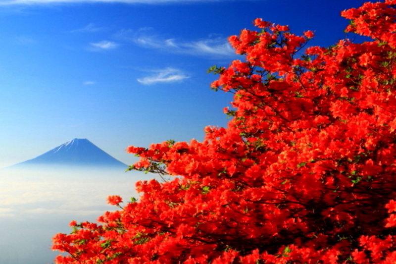 富士山画像記録