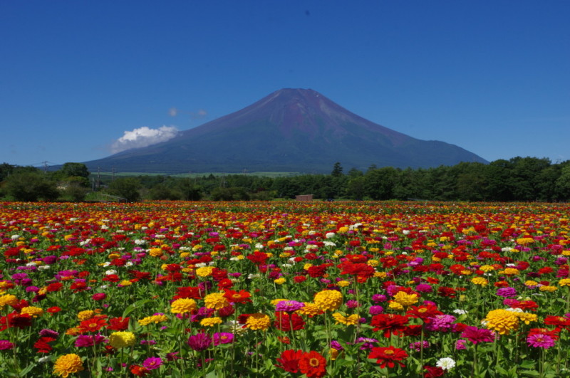 富士山画像記録