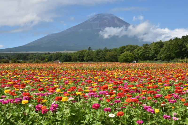 富士山画像作品