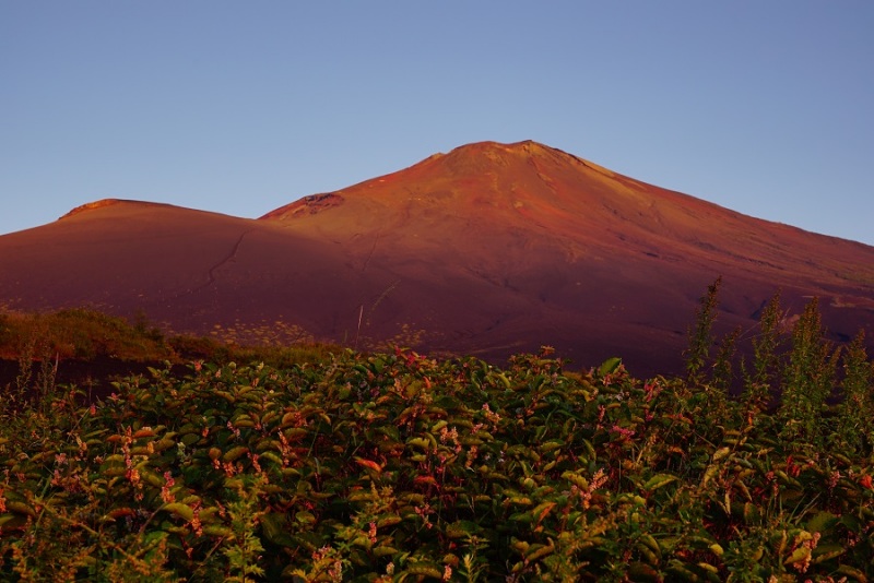 富士山画像作品