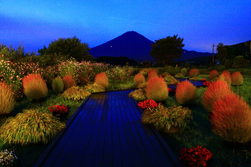 富士山画像記録