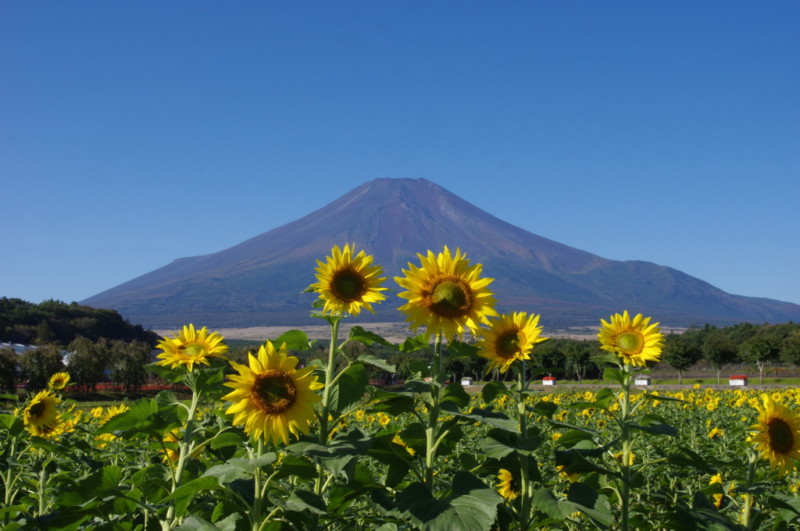 富士山画像記録