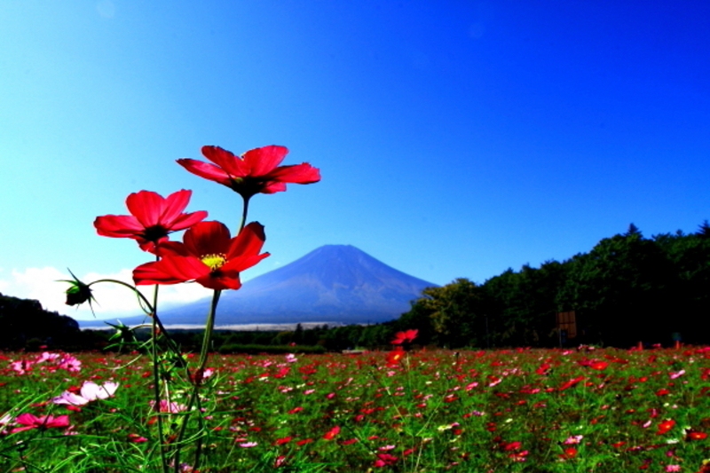 富士山画像記録