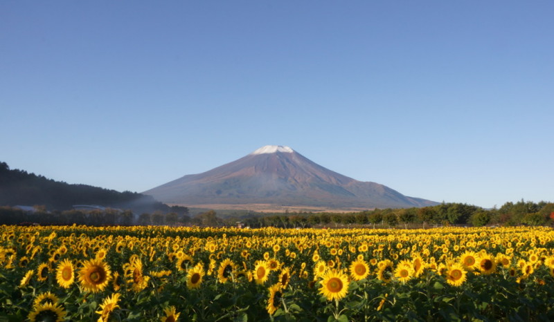 富士山画像記録