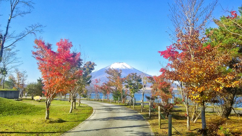 富士山画像記録