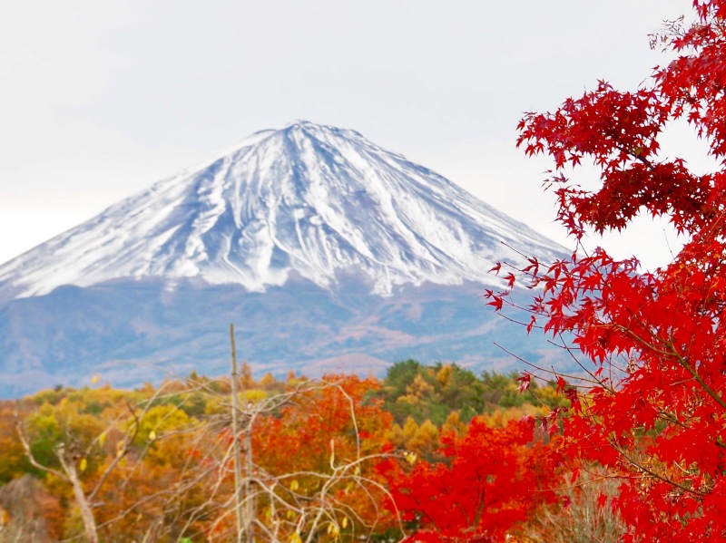 富士山画像作品