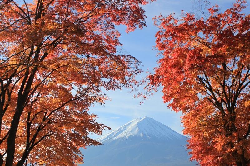 富士山画像作品