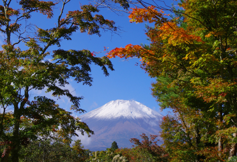 富士山画像作品