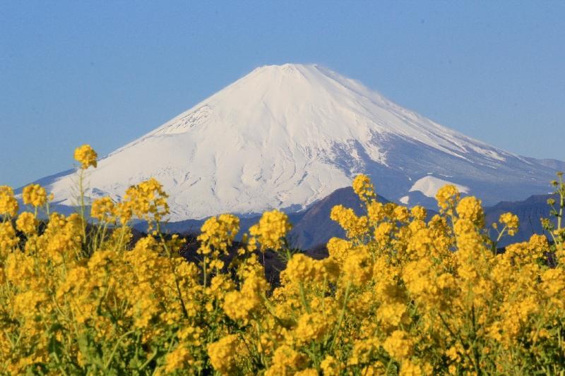 富士山画像作品