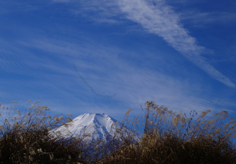 富士山画像作品