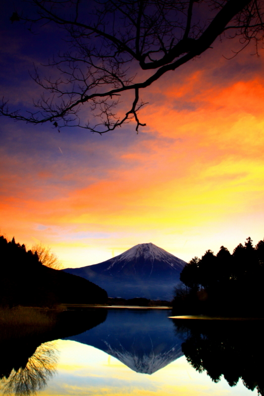 富士山画像記録