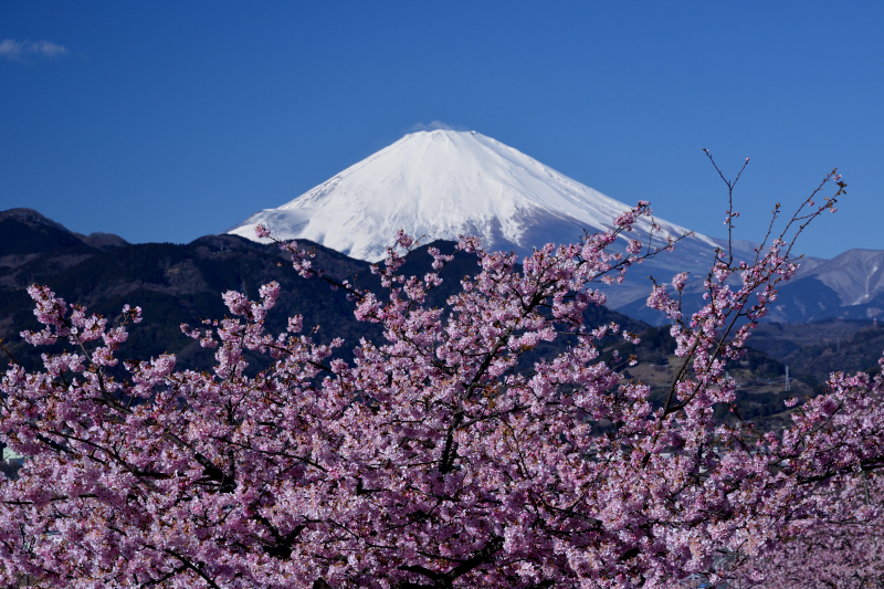 富士山画像作品