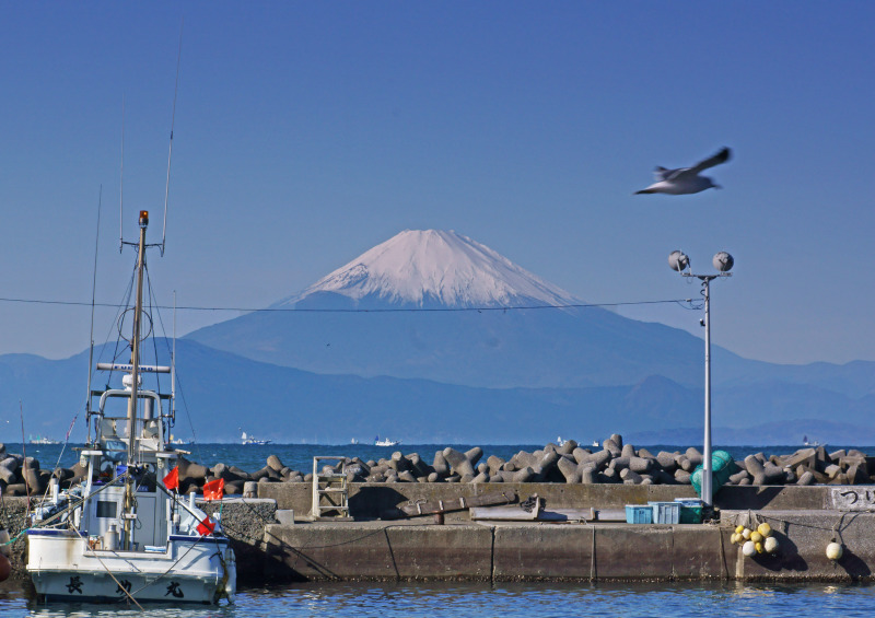 富士山画像作品