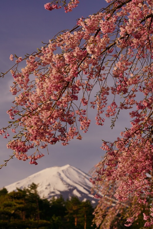 富士山画像作品