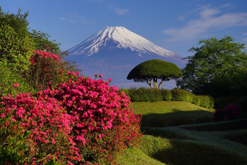 富士山画像作品