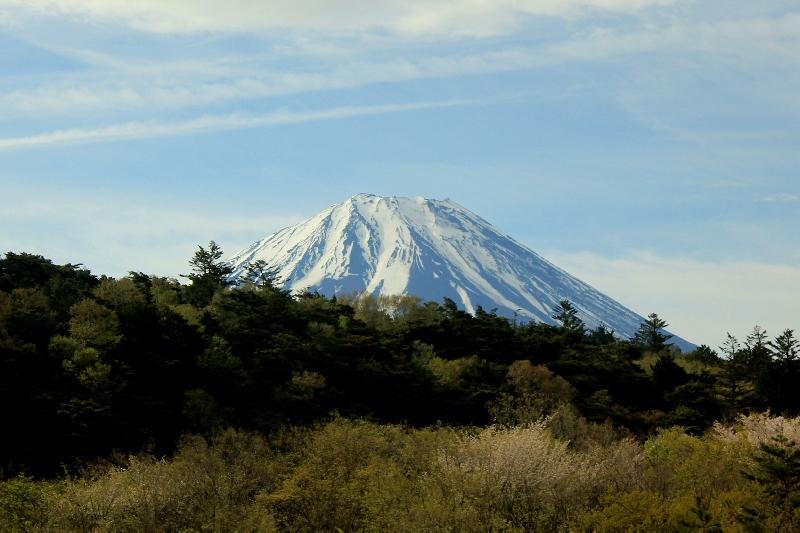 富士山画像作品