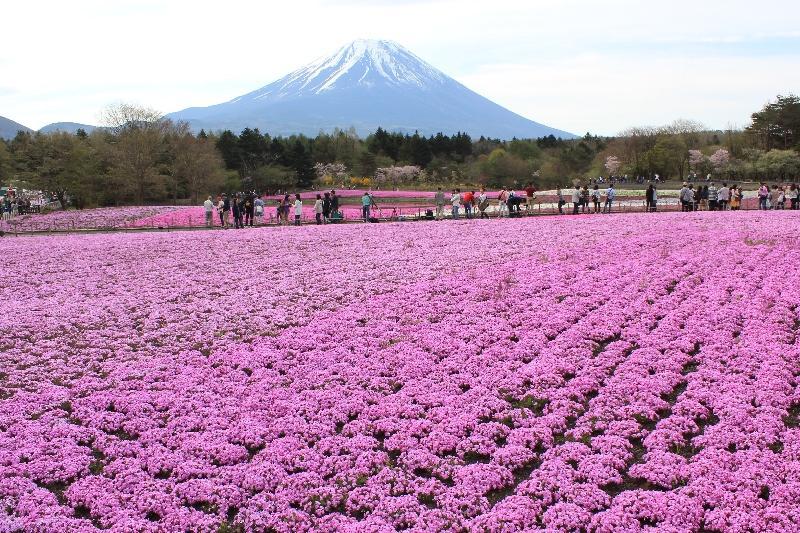 富士山画像作品