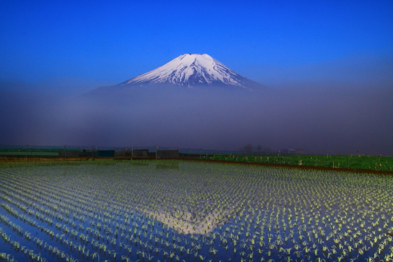 富士山画像記録