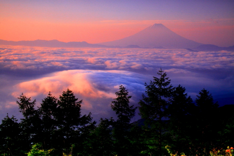 富士山画像記録