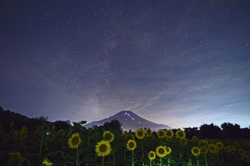 富士山画像記録