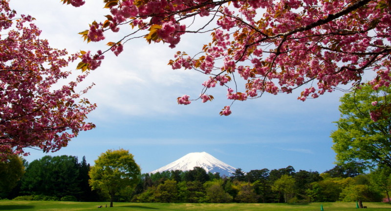 富士山画像記録