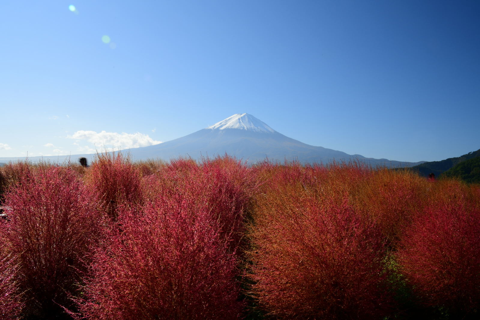 富士山画像記録