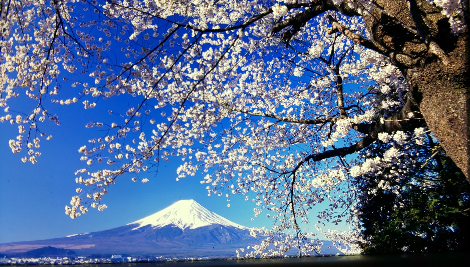 富士山画像記録