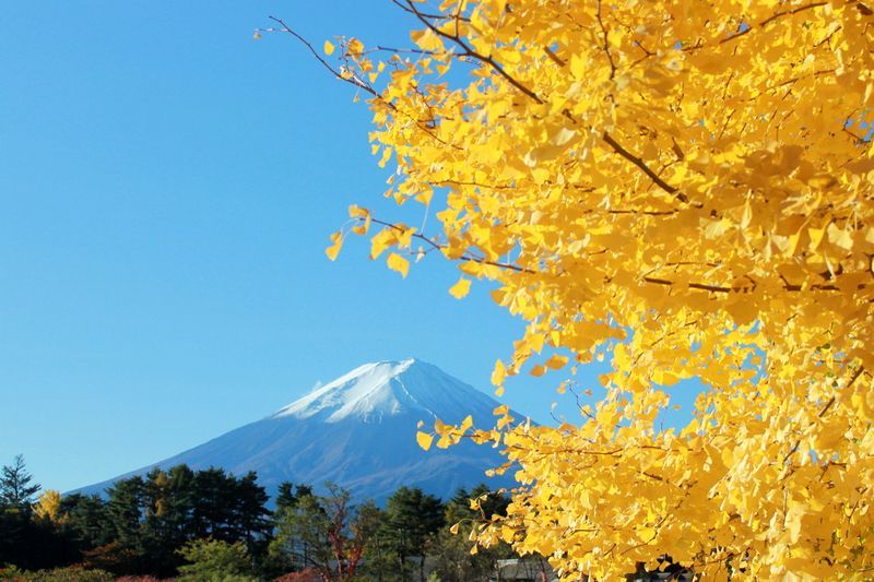 富士山画像記録