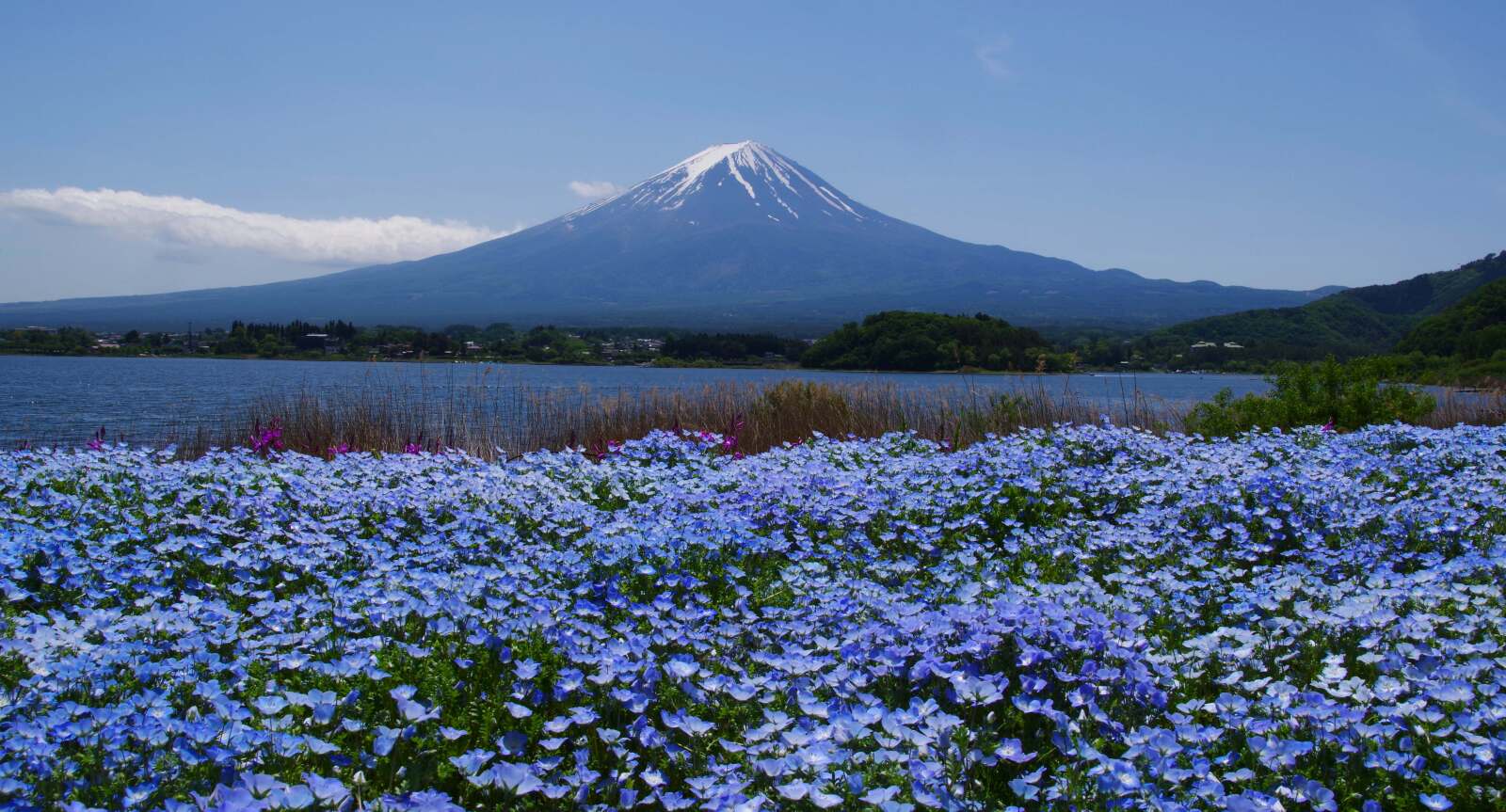 富士山画像記録