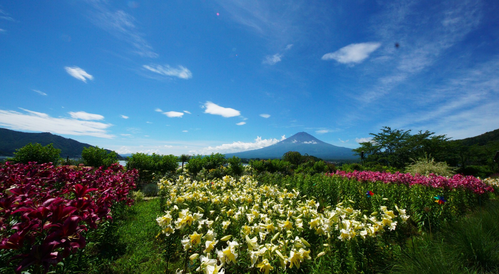 富士山画像記録