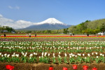富士山画像記録