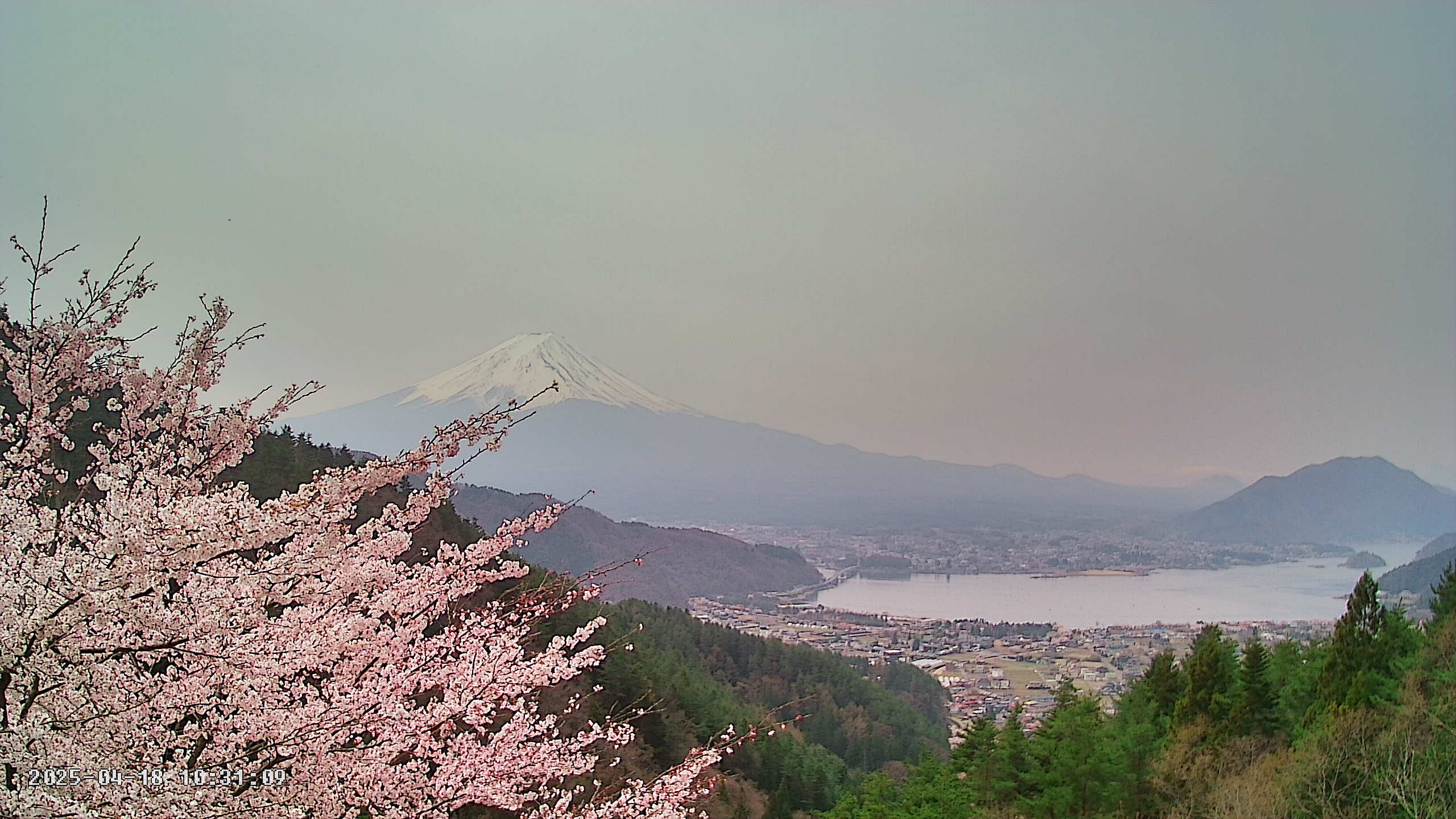 富士山ライブカメラベスト画像
