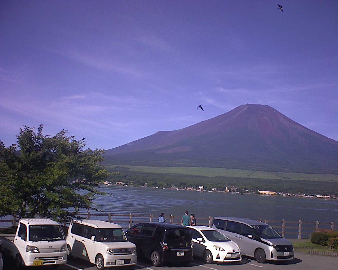 富士山ライブカメラベスト画像